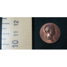 Petite médaille au profil de l'empereur (Rome) - Fab. Française - L'unité