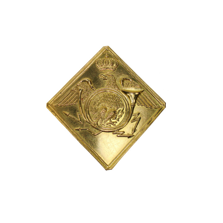 NAP-Shako plate Voltigeur.JPG