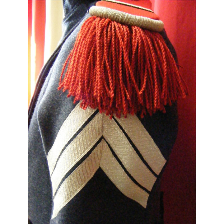 Uniforme de sous-officier du train des equipages de la Garde.