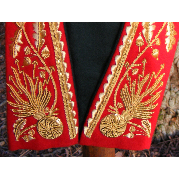 D'Ornano, commandant les dragons de la garde.