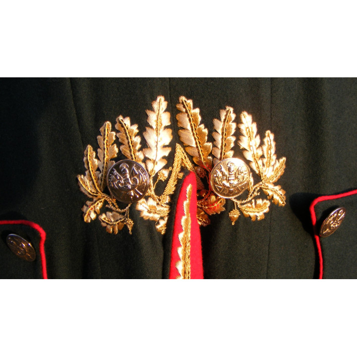 D'Ornano, commandant les dragons de la garde.