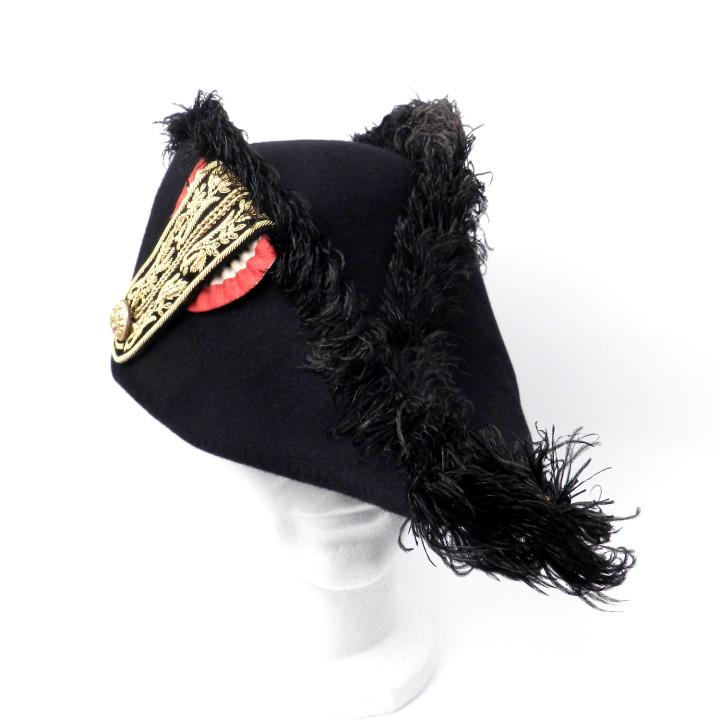 1 bicorne face ok.jpg