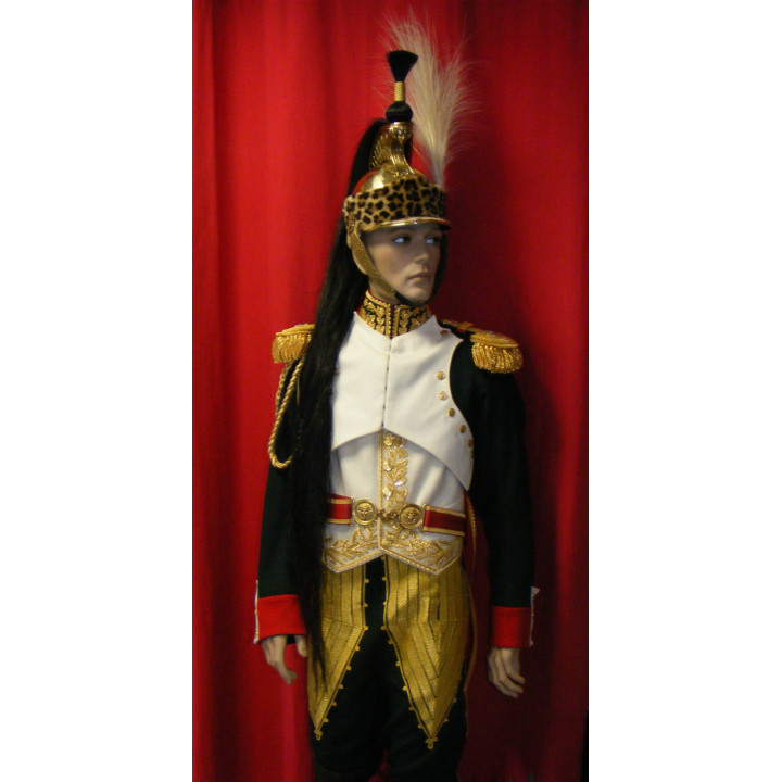 D'Ornano, commandant les dragons de la garde.