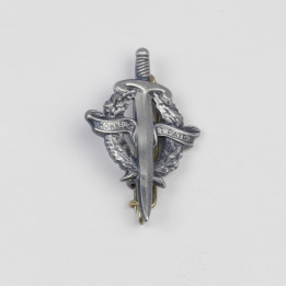 INSIGNE BREVET PREPA MILITAIRE 20 04 16 (1).JPG