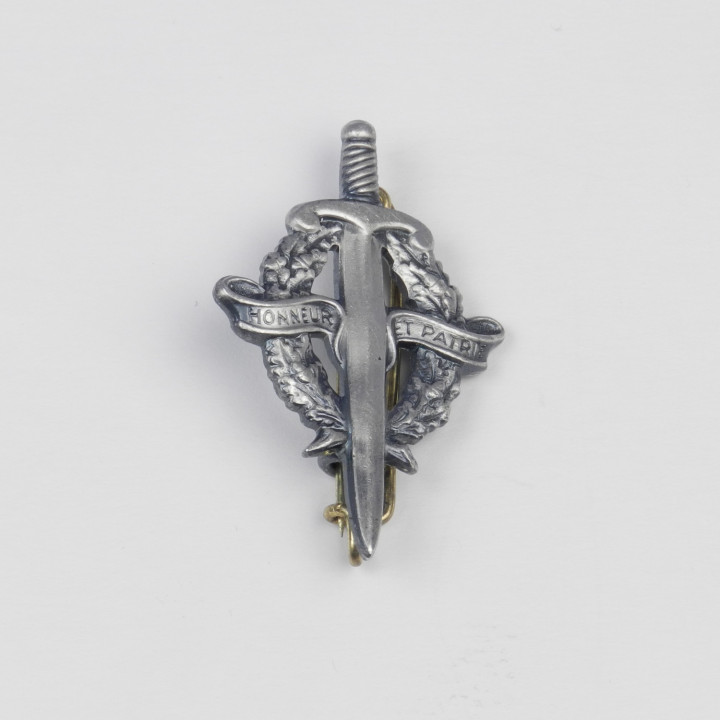 INSIGNE BREVET PREPA MILITAIRE 20 04 16 (1).JPG