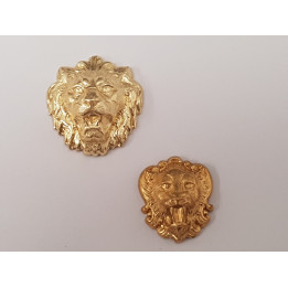 petit et moyen face.jpg