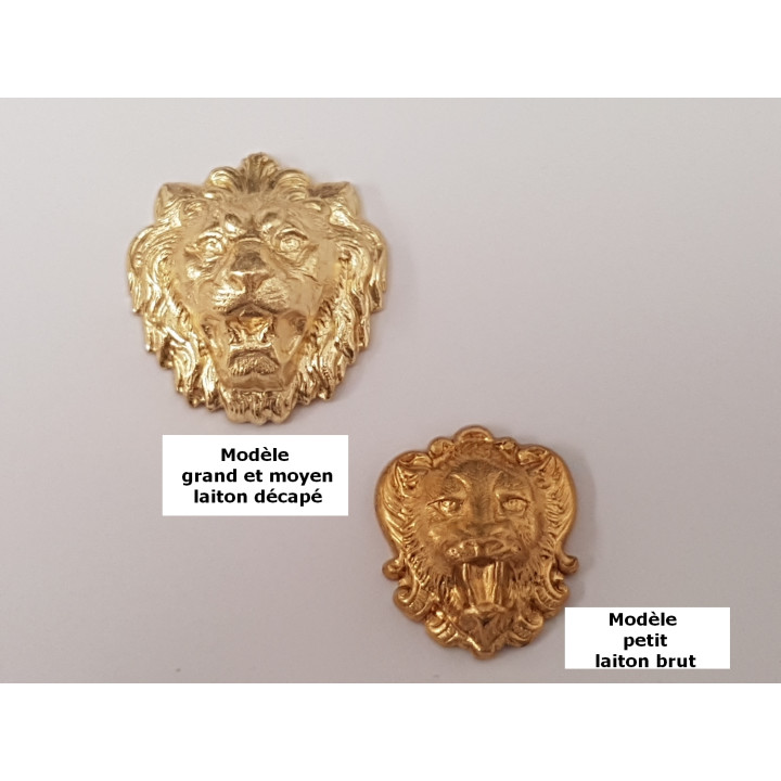 petit et moyen face option.jpg