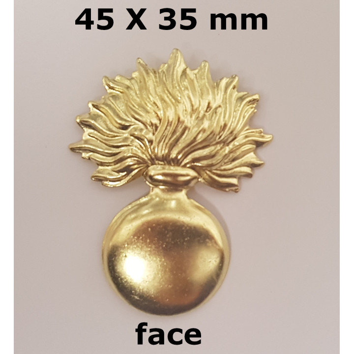 ss fixation 45 X 35 face ok.jpg