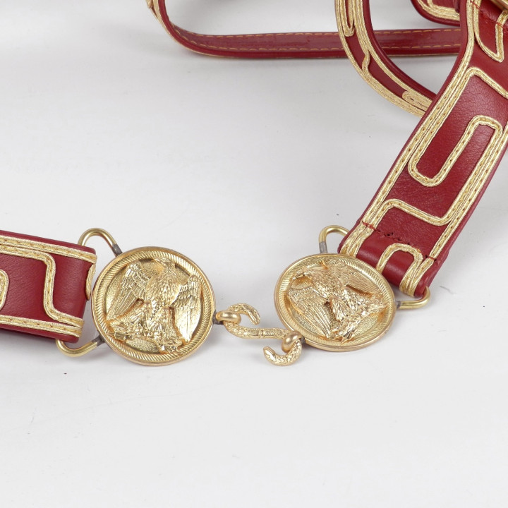 SABRETACHE MARCEL (4).JPG