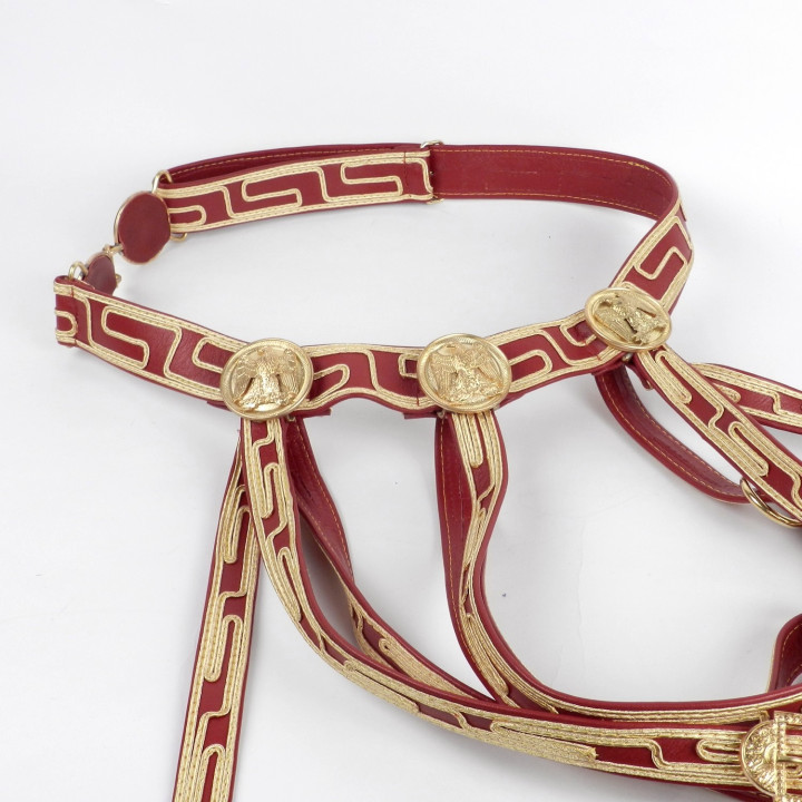 SABRETACHE MARCEL (5).JPG