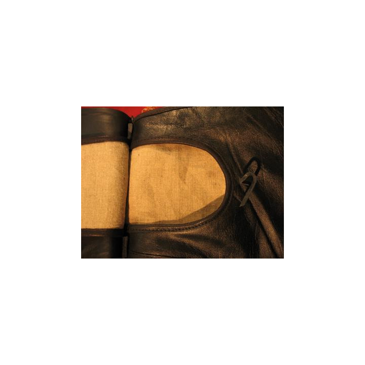 Troop "chasseur à cheval de la garde", embroidered or brass eagle, sabretache