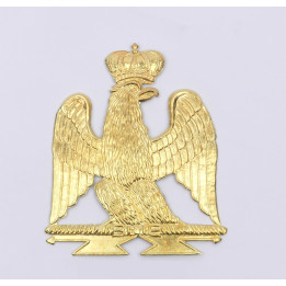 Aigle jeune garde - Tete à droite GARG devant bis.jpg