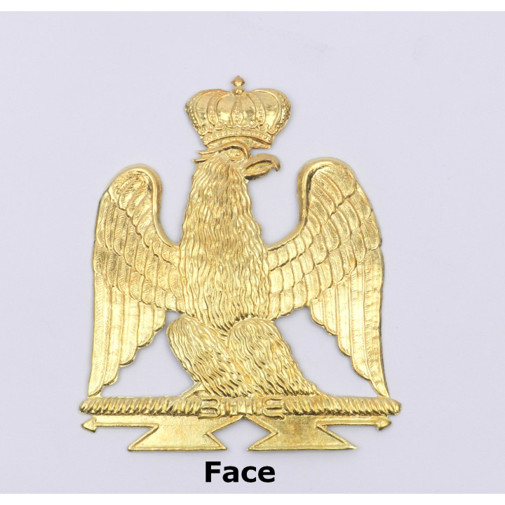 Aigle jeune garde - Tete à droite GARG devant.jpg