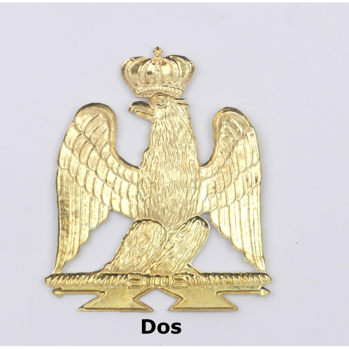 Aigle jeune garde - Tete à droite GARG.jpg