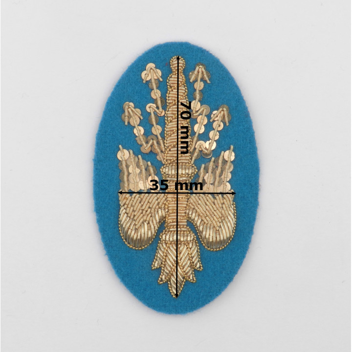 foudres état major dim.jpg