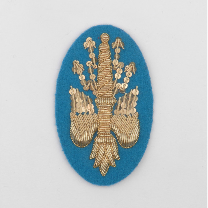 foudres état major.jpg