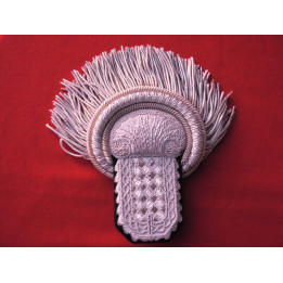 Epaulettes: captain "officier d'ordonnance de l'empereur", type iii