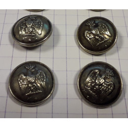 boutons aigle 1.jpg
