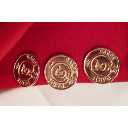 a612 gp boutons 2 reg.jpg