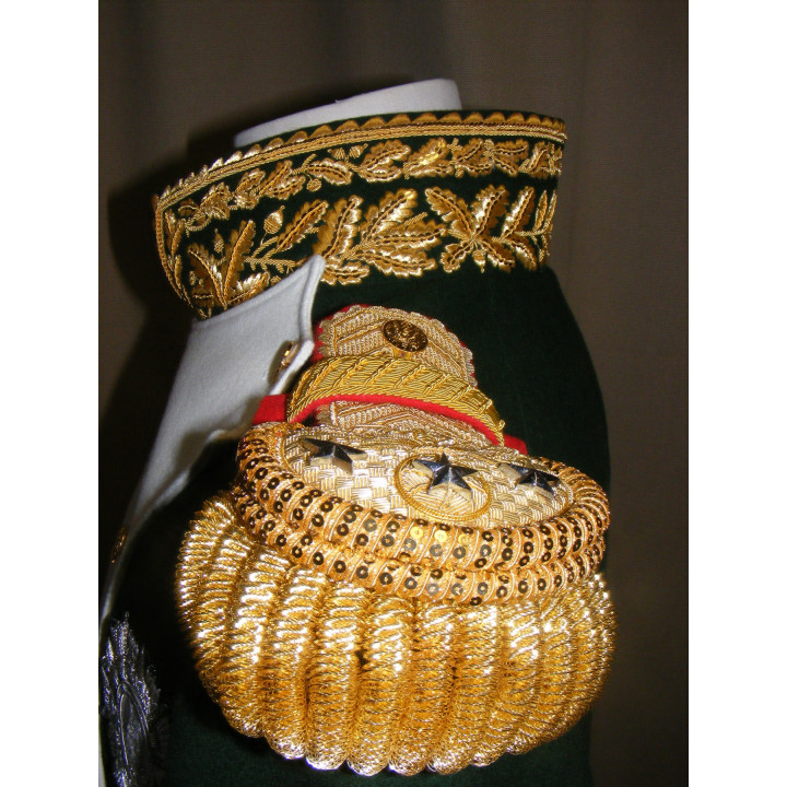 Jacket of general comte d'ornano, commandant les dragons de la garde