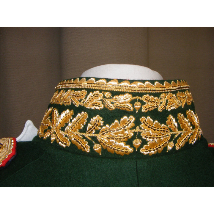 Jacket of general comte d'ornano, commandant les dragons de la garde
