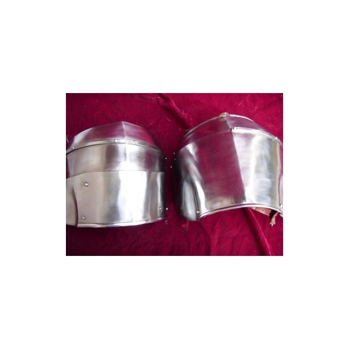 Spalieres milanaises "livraison fin juillet - debut aout"