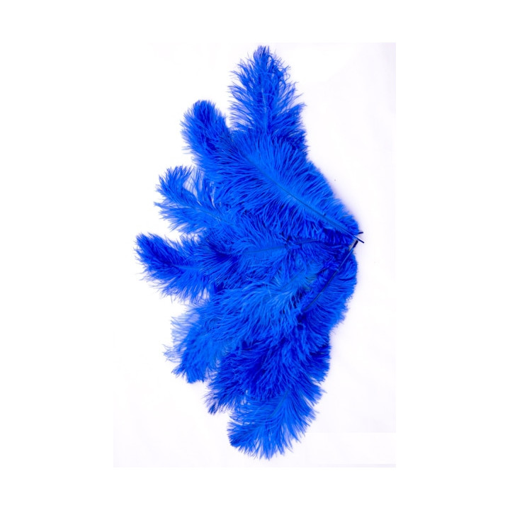 Autruche 30-40 cm bleu-2.jpg