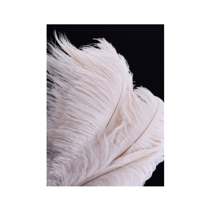 Autruche 30-40 cm crème photo 2-2.jpg