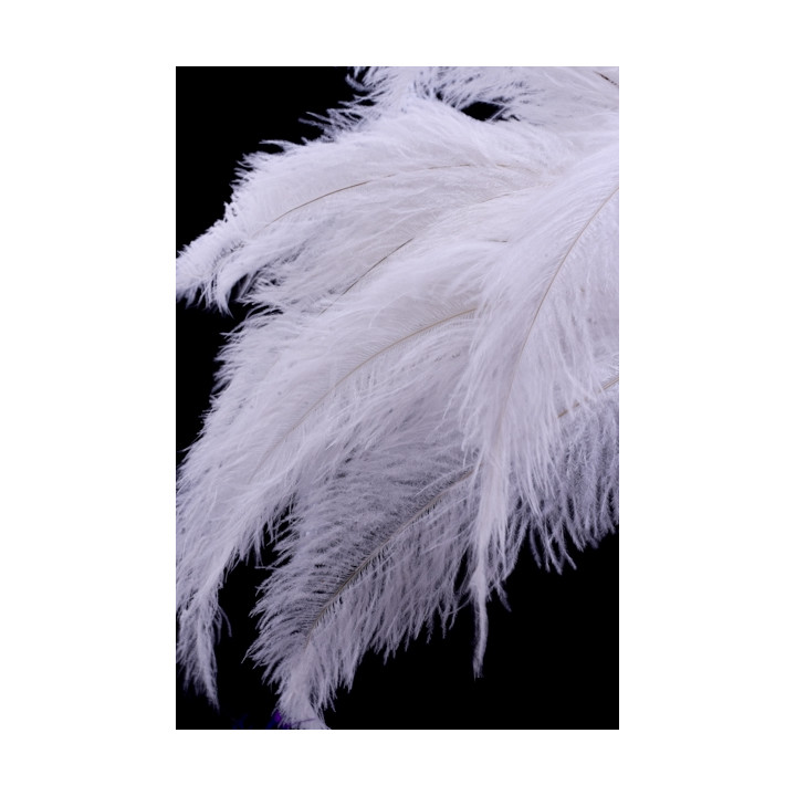 Autruche 35-40 cm blanc-2.jpg