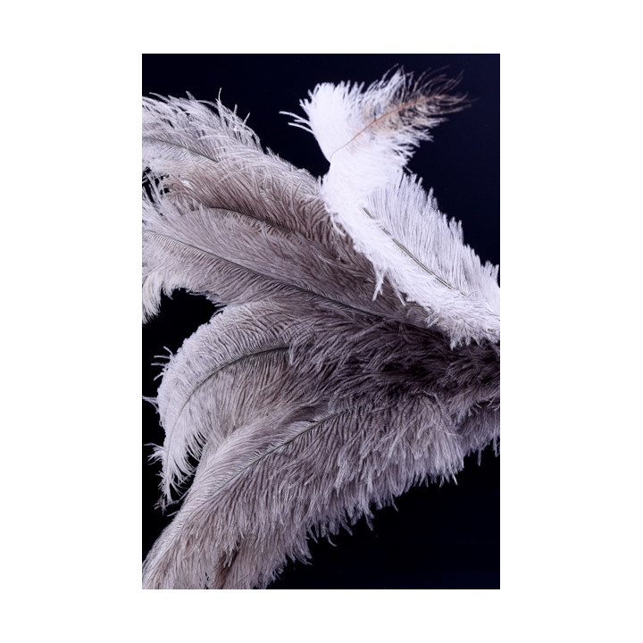 Autruche 38-42 cm gris clair blanc naturel photo 2.jpg