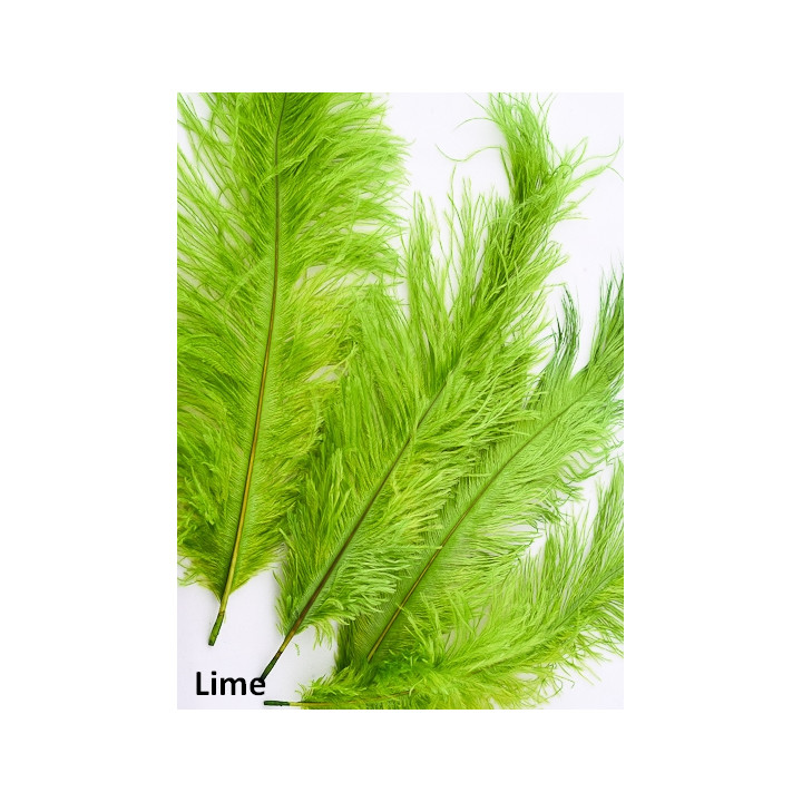 Autruche 30-40 cm lime-1.jpg