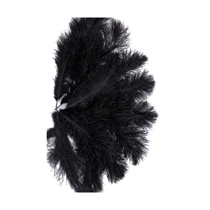 Autruche 30-40 cm noir-1.jpg