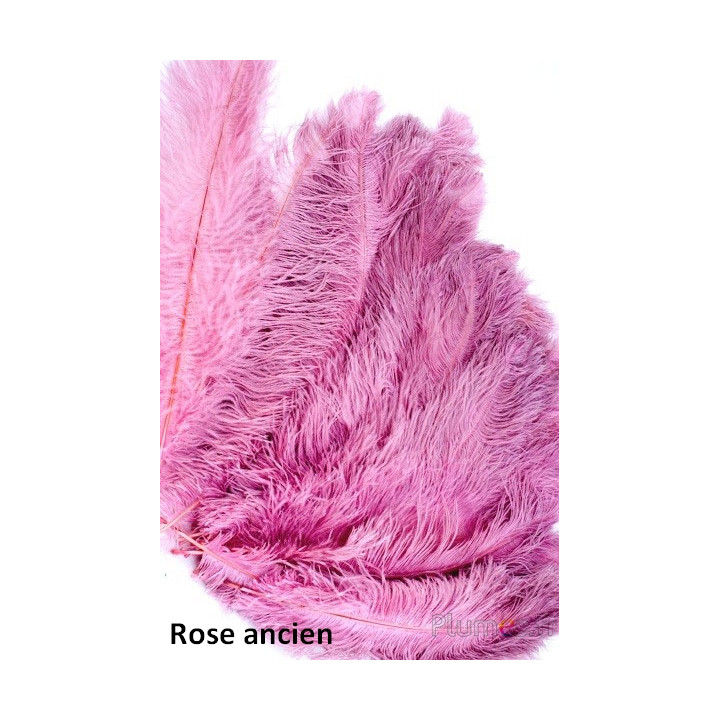 Autruche 30-40 cm rose ancien-2.jpg