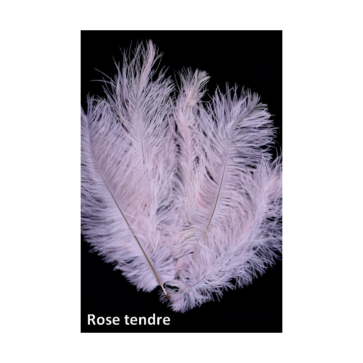 Autruche 30-40 cm rose tendre.jpg