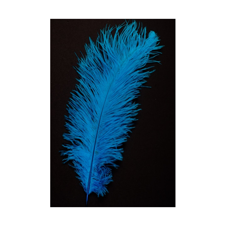 Autruche 35-40 cm turquoise.jpg