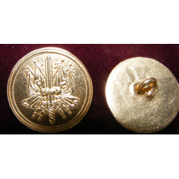 Adjudant commandant buttons, on stock, 2 sizes