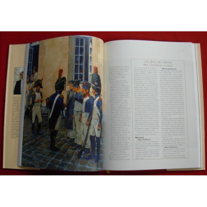 La garde imperiale, de l'ile d'Elbe à Waterloo, pendant les 100 jours. Pierre Juhel, Keith Rocco...Etc.
