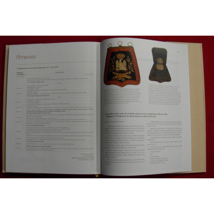 La garde imperiale de l'ile d'elbe à waterloo, pendant les 100 jours. Un seul en stock!