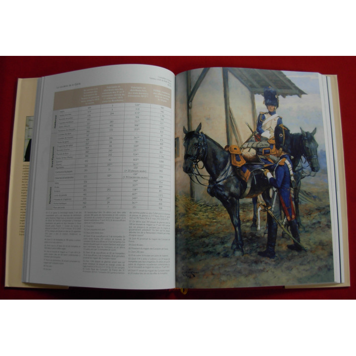 La garde imperiale de l'ile d'elbe à waterloo, pendant les 100 jours. Un seul en stock!