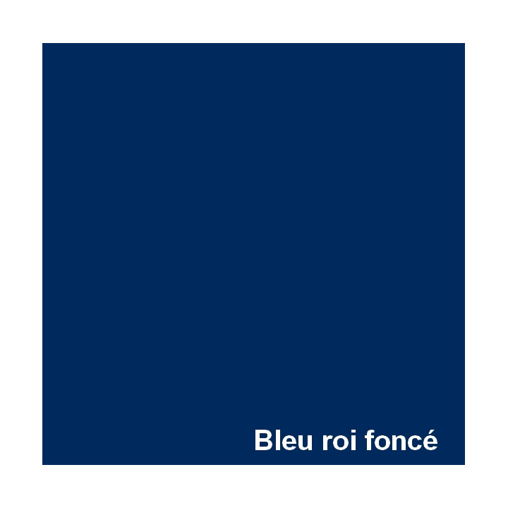 BLEU ROI FONCÉ.jpg