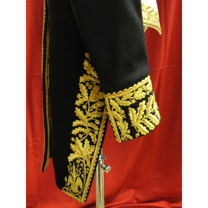"petite tenue" of marechal d'empire, embroidered turnbacks on 2 sides