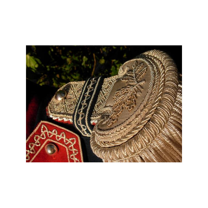 Chêne et laurier argent ou or - Épaulette officier - L'unité