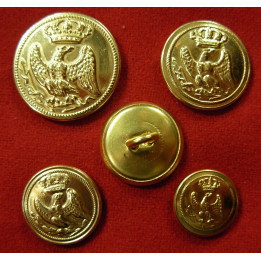 Imperial guard's buttons, on stock - l'unit