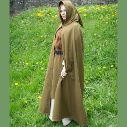 CapeHIBERNUS Titre.jpg