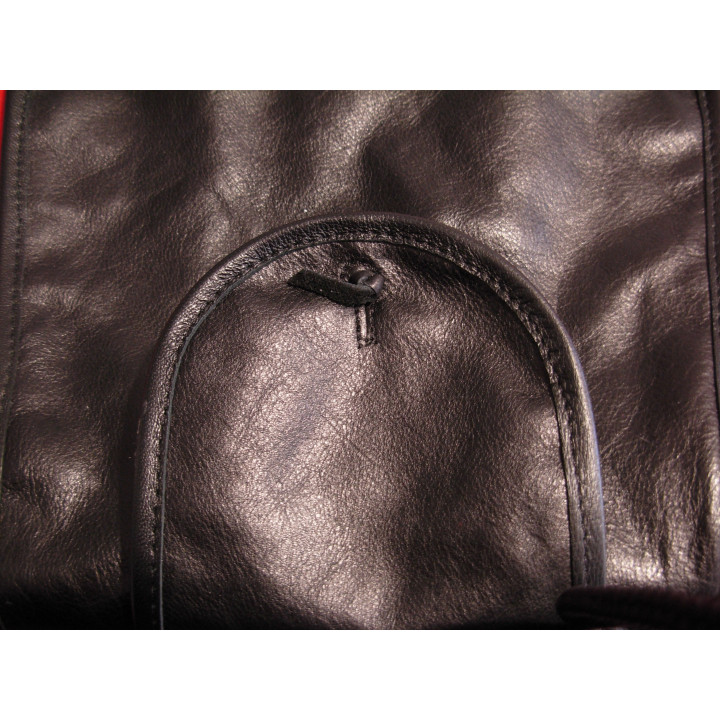 Sabretache du Général Lasalle à la bataille de Stettin