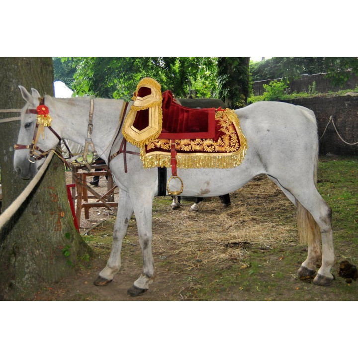 Carpet saddle of the emperor