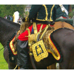 Shabraque de général de hussard
