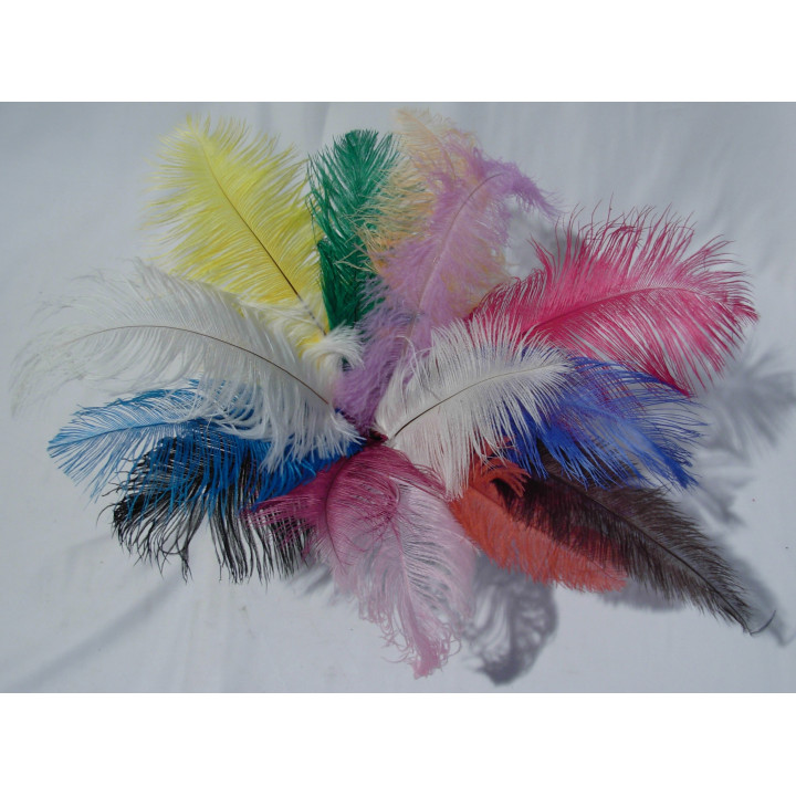 plume d'autruche 30-40 cm