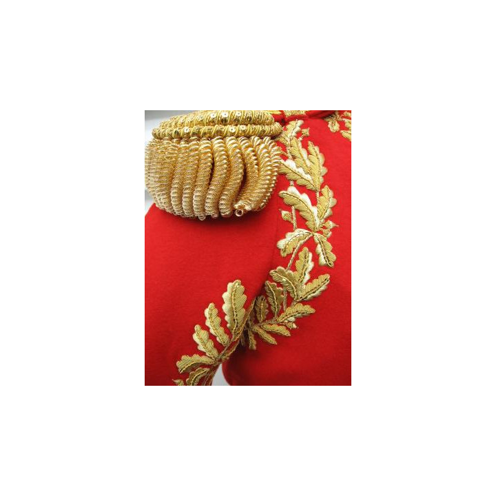 Tenue de colonel général des Suisses - Lannes